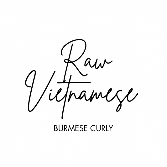 (3) Raw Burmese Curly Bundle Deal